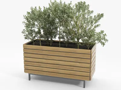 jasper rectangle planter Olea europaea 3D model