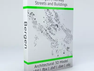Bergen Streets and Buildings 3D model