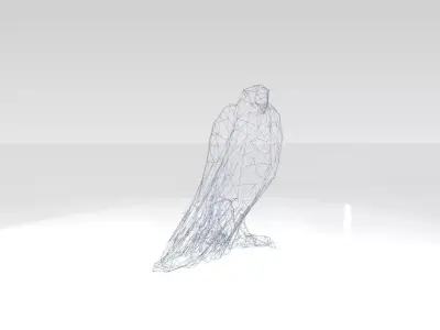 Parrot Wireframe 3D model
