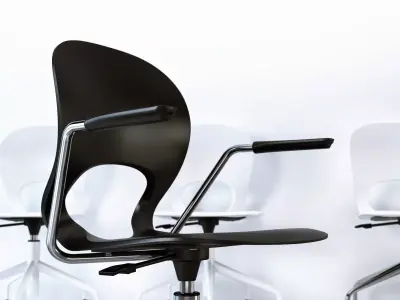 Pikaia Swivel 3D model