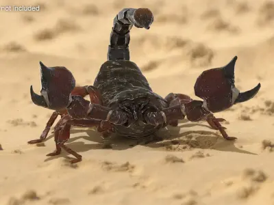  Walking Scorpion Animated Rigged for Maya 