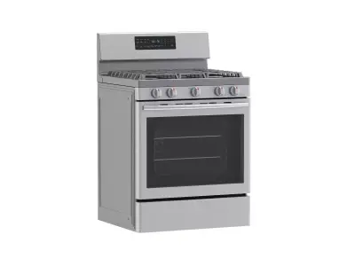 Samsung Gas Range with Convection 3D model