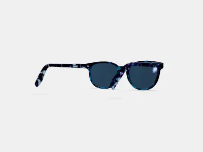 Sydney Sunglasses in Riverbed Tortoise 3D model