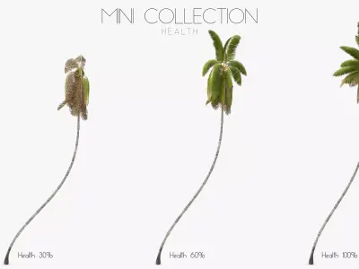 Cocos Nucifera 3698 - Health Collection Low-poly 3D model