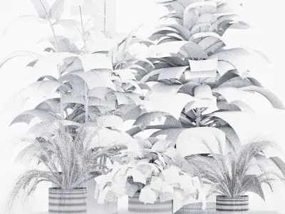 INDOOR PLANT SET 05 3D model