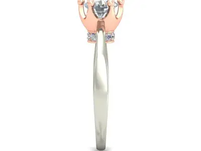 Women Ring  Render 3dm STL OBJ FBX Details 3D print model 101