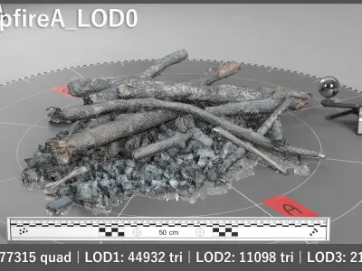 CampfireScan Pack Low-poly 3D model