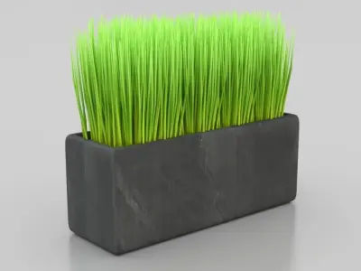 Box Planter 3D model