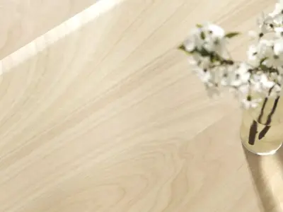 Birch wood veneer texture Texture