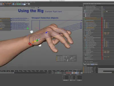  Rigged and Animated Hands (Male) 