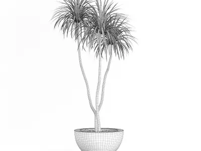 Potted Palm TreePotted Palm Tree 3D model