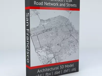 San Francisco Road Network and Streets 3D model