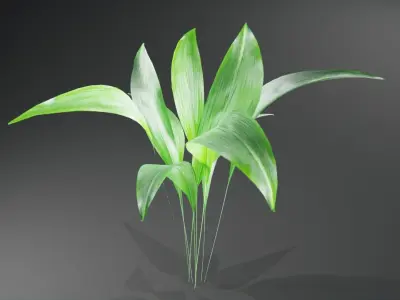 Tropical plants collection Low-poly 3D model