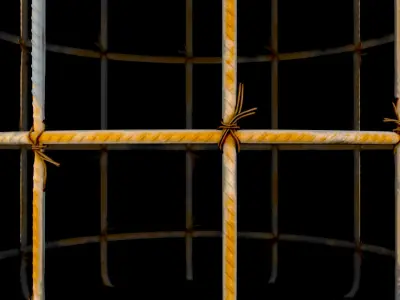 Armature Carcass Substance Material and textures Texture