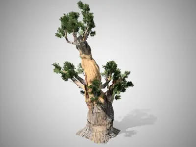 Bristlecone Pine Tree LODs Low-poly 3D model