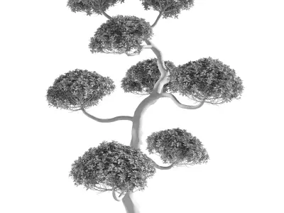 bush tree shuba 1 3D model