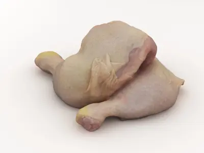 Raw Chicken Leg 3D model