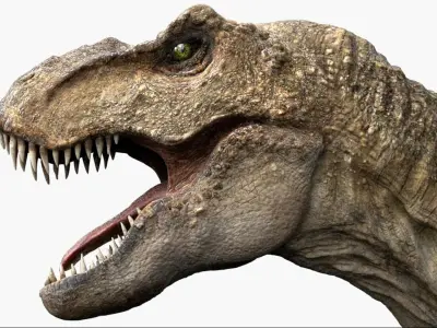  tyrannosaurusRex Anatomy 3D 