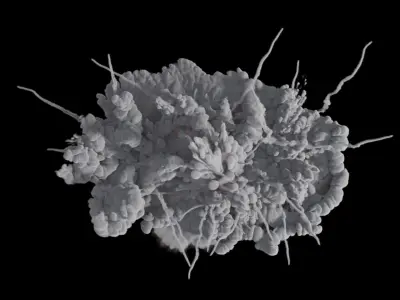 Carpet Bomb VDB 3D model