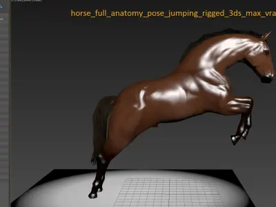  Full Horse Anatomy Maya Animated 