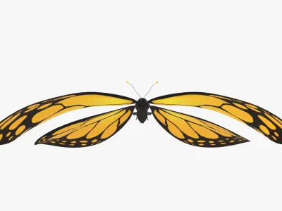  Butterfly with Flying Animation 