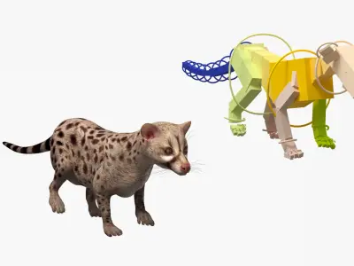  Asian Palm Civet Musang Spotted Coat Brown Rigged 