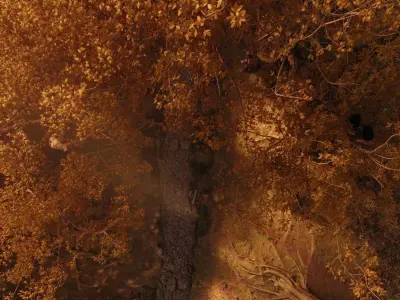 Samurai Path Torii Gate Model Scene 3D model