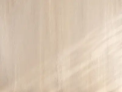 Wood material v06 Texture