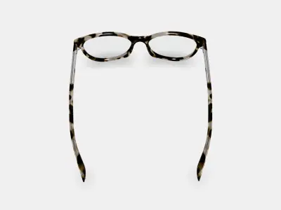 Nadia Eyeglasses in Opal Tortoise 3D model