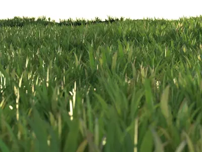 Stylized Grass Pack 01 Low-poly 3D model