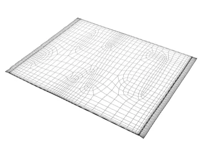 Indra Rug 3D model