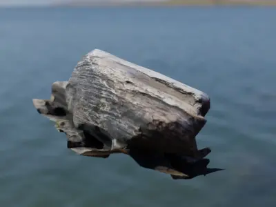 Rocks piece of wood floating in water Low-poly 3D model