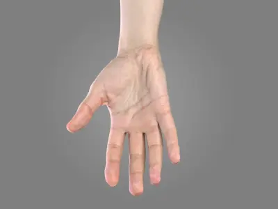  Multi Bare Arms Fully Rigged 