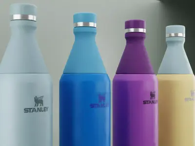 ll Day Slim Insulated Water Bottle 3D model