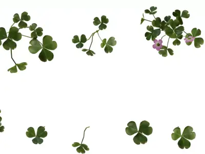 Pink Wood Sorrel Flower Pack Low-poly 3D model