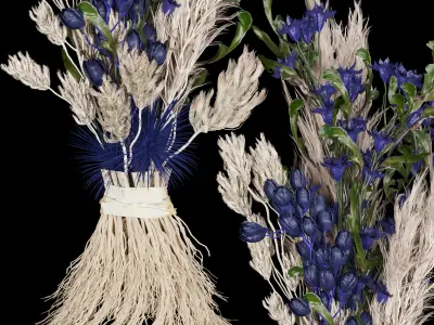 Collection plant vol 74