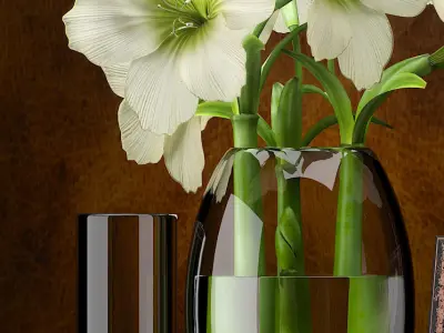  FLOWERS AMARYLLIS 3D model