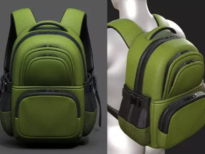 Backpack Camping scifi Color 3d model low poly  Low-poly 3D model