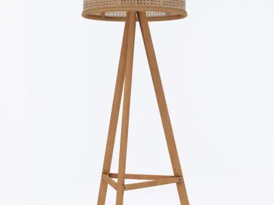 Cane rattal floor lamp 3D model