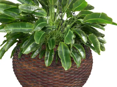 Hanging basket flowerpot rattan pot with decorative fern 3D model