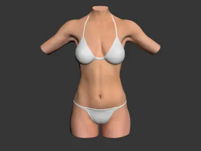 Female Torso 3D Studio Max 3D model