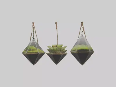 Hanging Terrariums Low-poly 3D model
