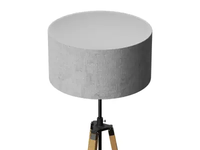 Floor Lamp - Darwin 3D model