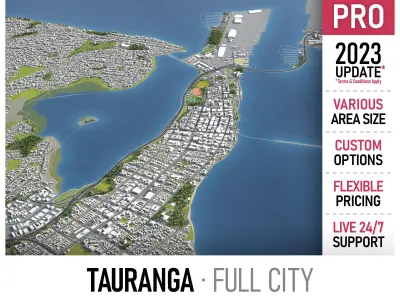 Tauranga Low-poly 3D model