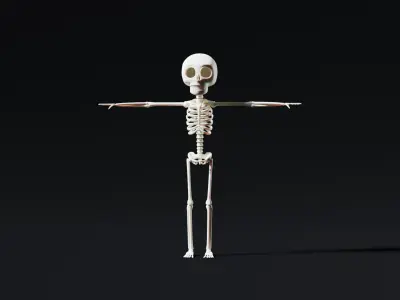  Stylized Cartoon Skeleton - Rigged for Maya 
