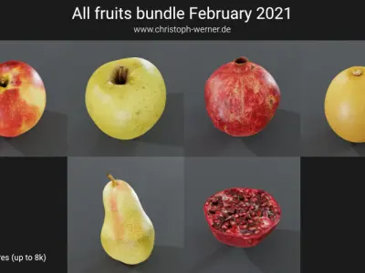 All Fruits - Bundle - February 2021 Edition (Retopologized Photogrammetry Models)
