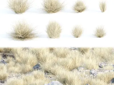 Grass for wild landscape collection vol 12 3D Model Pack