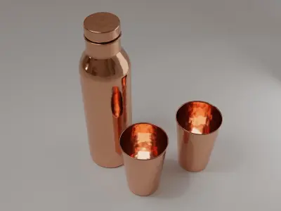 Hammered Copper Water Bottle and Cups Free 3D model