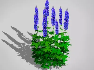 Plant Delphinium Low-poly 3D model
