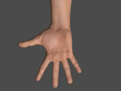  Rigged and Animated Hands (Male) 